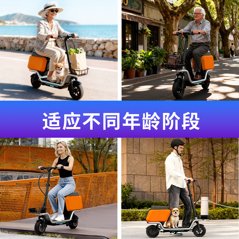 Scooter elétrico adulto com ca - Scooter Electric avaliação e preço